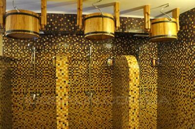 Старославянская баня «Ладомир» відгуки, лазня/сауна Киев Киево-Святошинский район с. Гореничи, ул. Максима Рыльского 19, фото, адреса з картою проїзду.