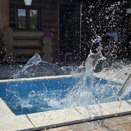 «БАНЕЧКА» на дровах в Гатном.МТеремки. відгуки, лазня/сауна Киев Голосеевский район Гатное ул. Юнацька, фото, адреса з картою проїзду.