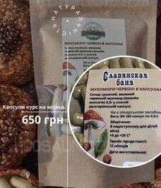 КОМПЛЕКС «СЛОВʼЯНСЬКА БАНЯ» відгуки, лазня/сауна Київ Оболонський район м. Вишгород, вул. Ватутіна, 16/2, фото, адреса з картою проїзду.