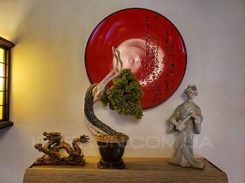 Баня на дровах на Черкасской відгуки, лазня/сауна Киев Шевченковский район ул. Черкасская, 12, фото, адреса з картою проїзду.