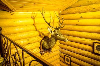 Банный комплекс «ЭкоБаня» відгуки, лазня/сауна Киев Оболонский район ул. Приречная, фото, адреса з картою проїзду.