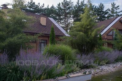 Банно-оздоровительный комплекс «Трипольское солнце» відгуки, лазня/сауна Подгорцы  район Киевская обл., 27 км Новообуховской трассы, с. Подгорцы, напротив Голубого озера (10 км от Киева), фото, адреса з картою проїзду.